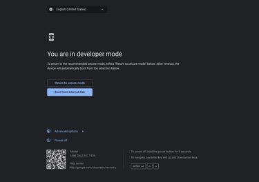 Developer Mode screen